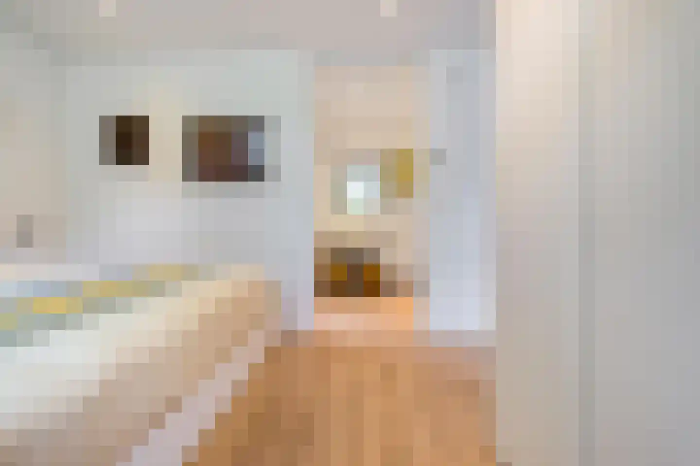 Dijksweg 5 Houwerzijl thumbnail 27