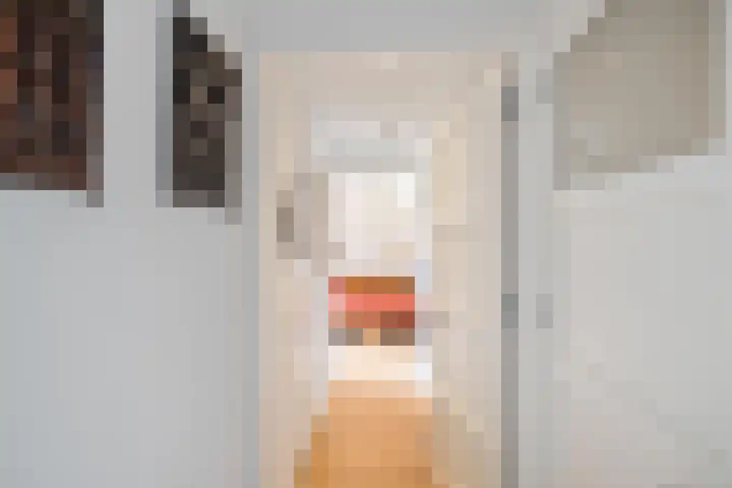 Dijksweg 5 Houwerzijl thumbnail 31