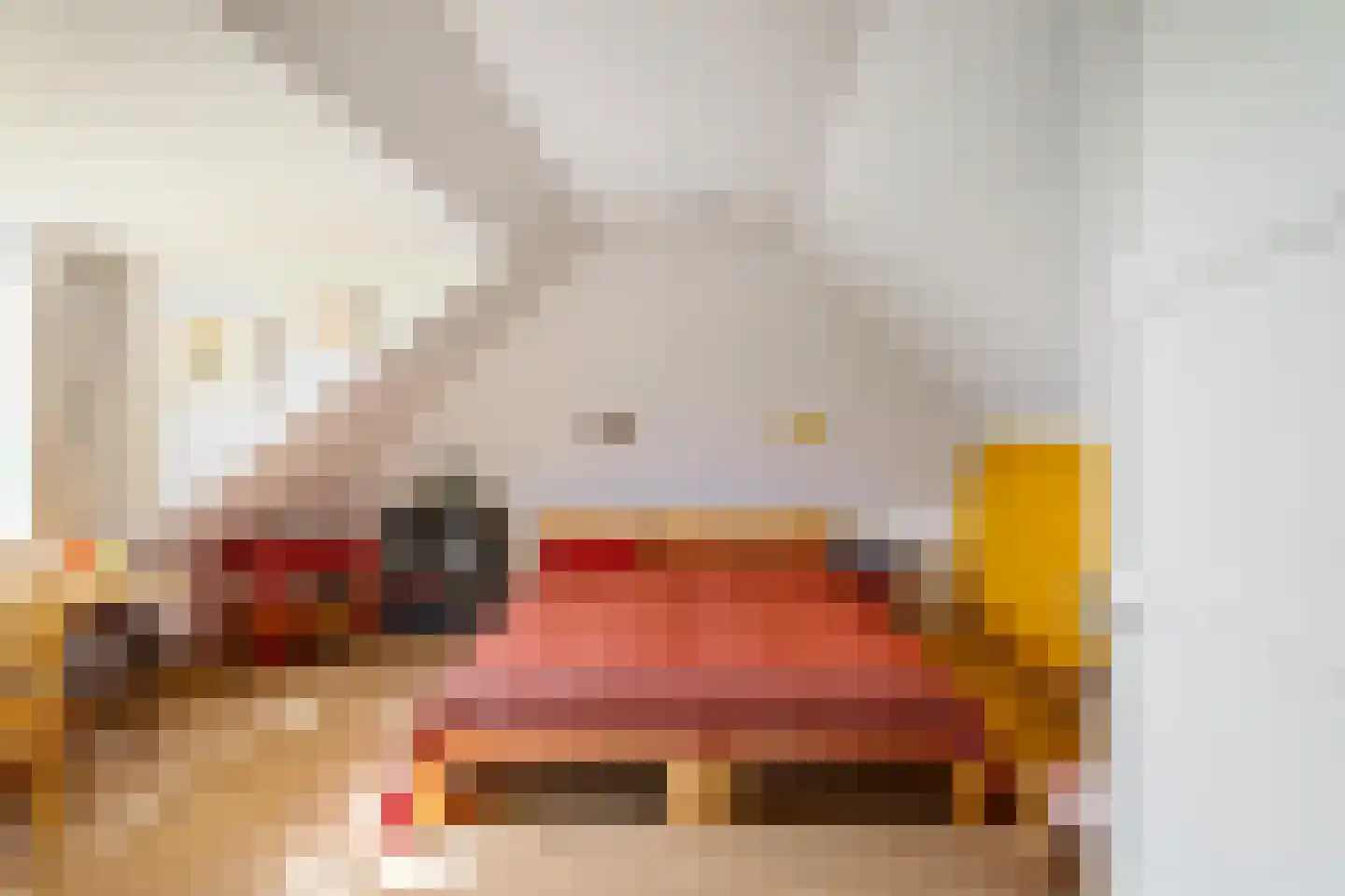 Dijksweg 5 Houwerzijl thumbnail 32