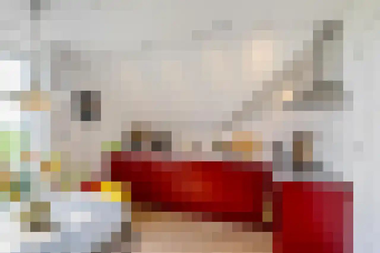 Dijksweg 5 Houwerzijl thumbnail 32