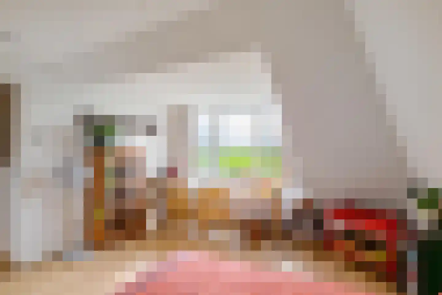 Dijksweg 5 Houwerzijl thumbnail 33