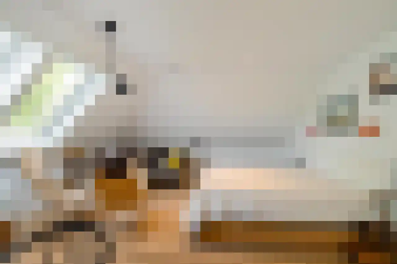 Dijksweg 5 Houwerzijl thumbnail 36