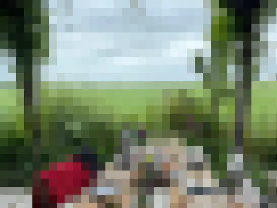 Dijksweg 5 Houwerzijl thumbnail 39