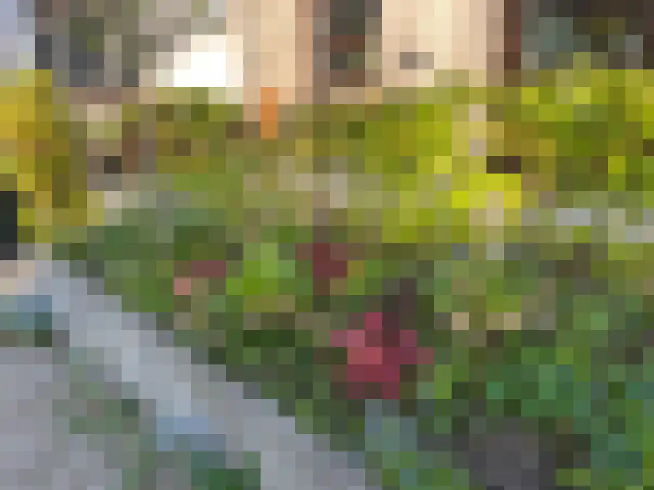 Dijksweg 5 Houwerzijl thumbnail 40