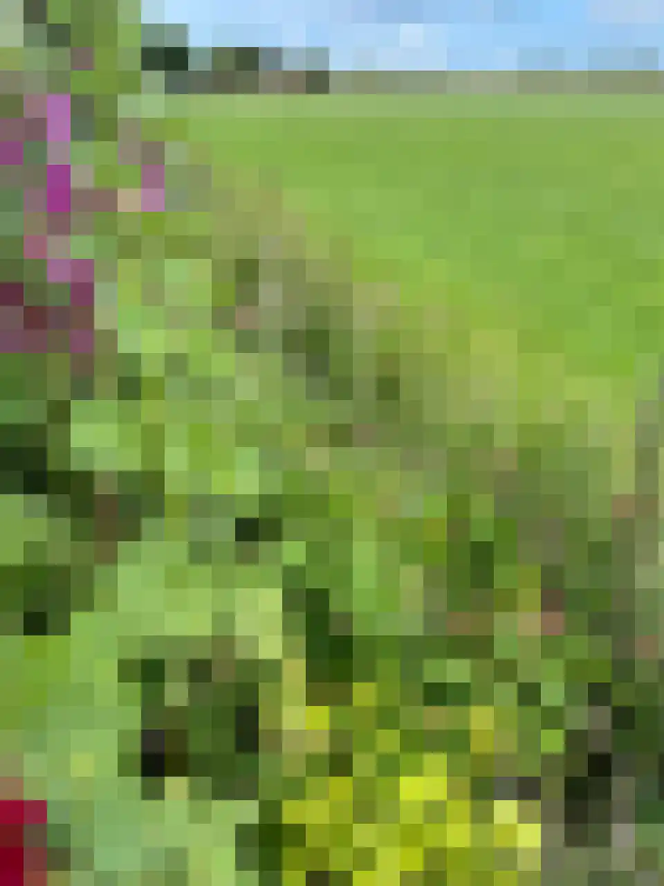 Dijksweg 5 Houwerzijl thumbnail 41