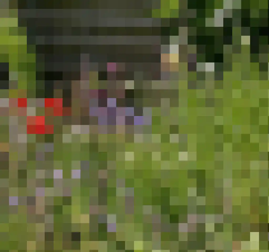 Dijksweg 5 Houwerzijl thumbnail 42