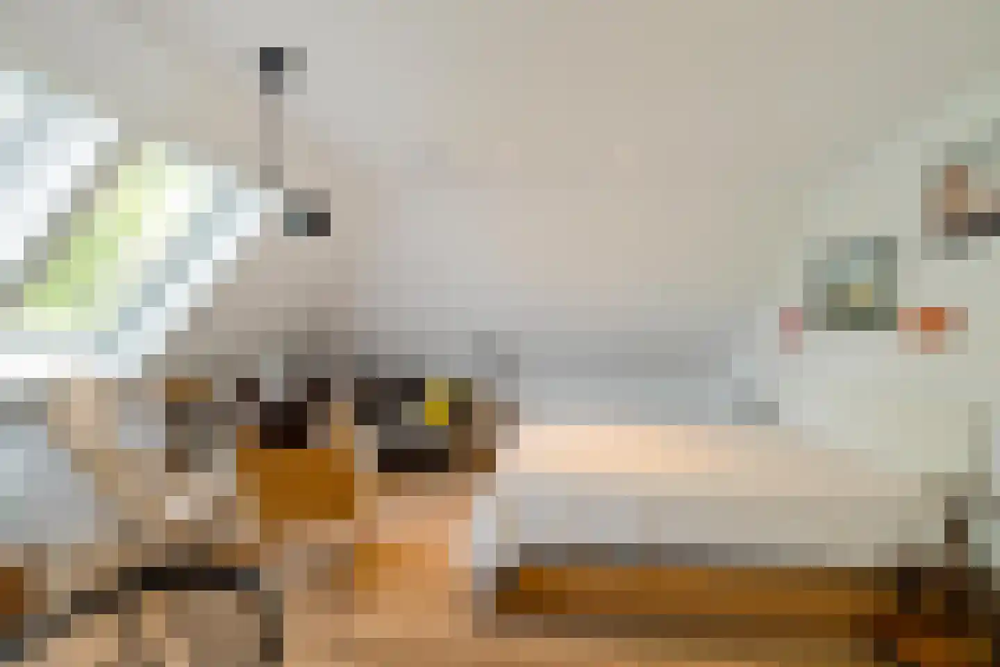 Dijksweg 5 Houwerzijl thumbnail 43