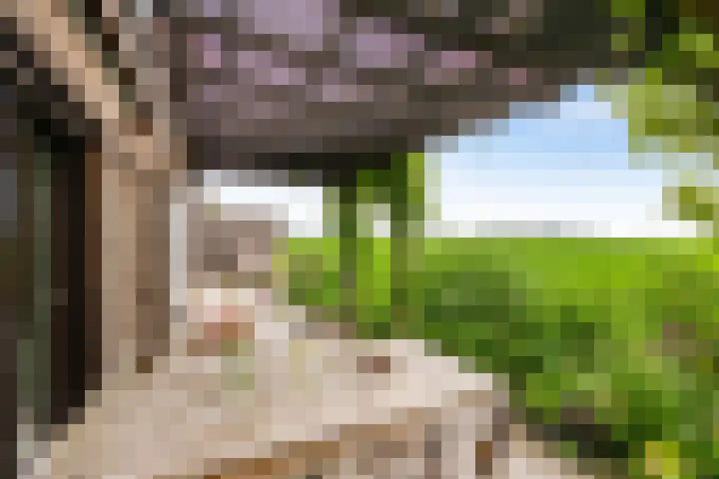 Dijksweg 5 Houwerzijl thumbnail 44