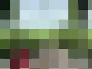 Dijksweg 5 Houwerzijl thumbnail 45