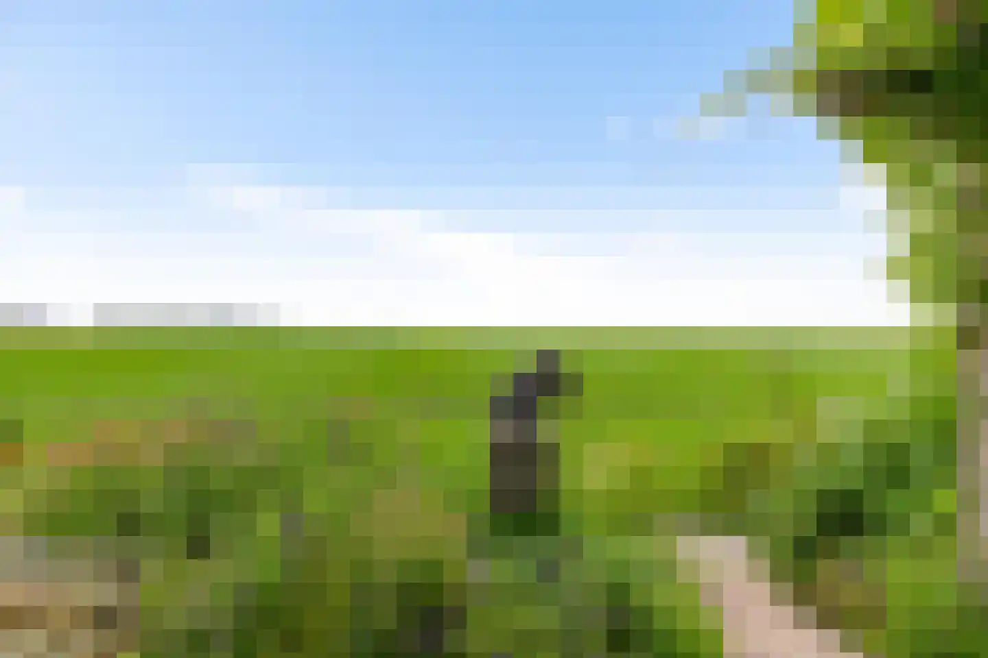 Dijksweg 5 Houwerzijl thumbnail 49