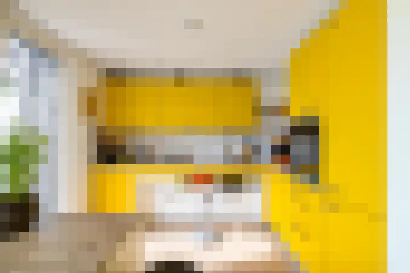 Dijksweg 5 Houwerzijl thumbnail 5
