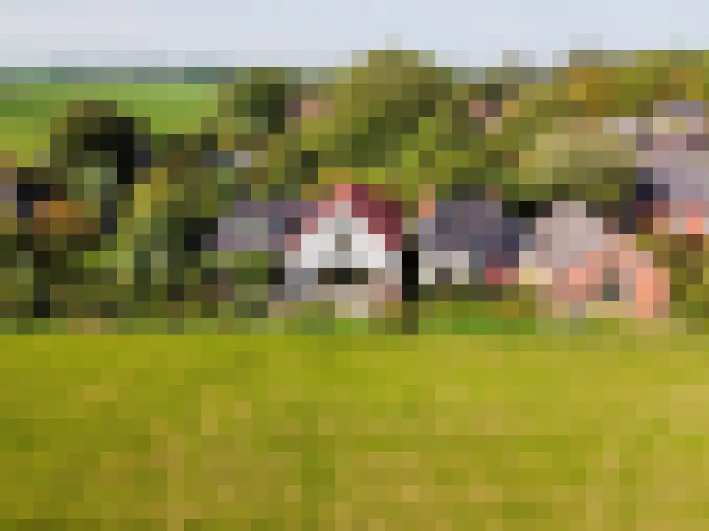 Dijksweg 5 Houwerzijl thumbnail 5