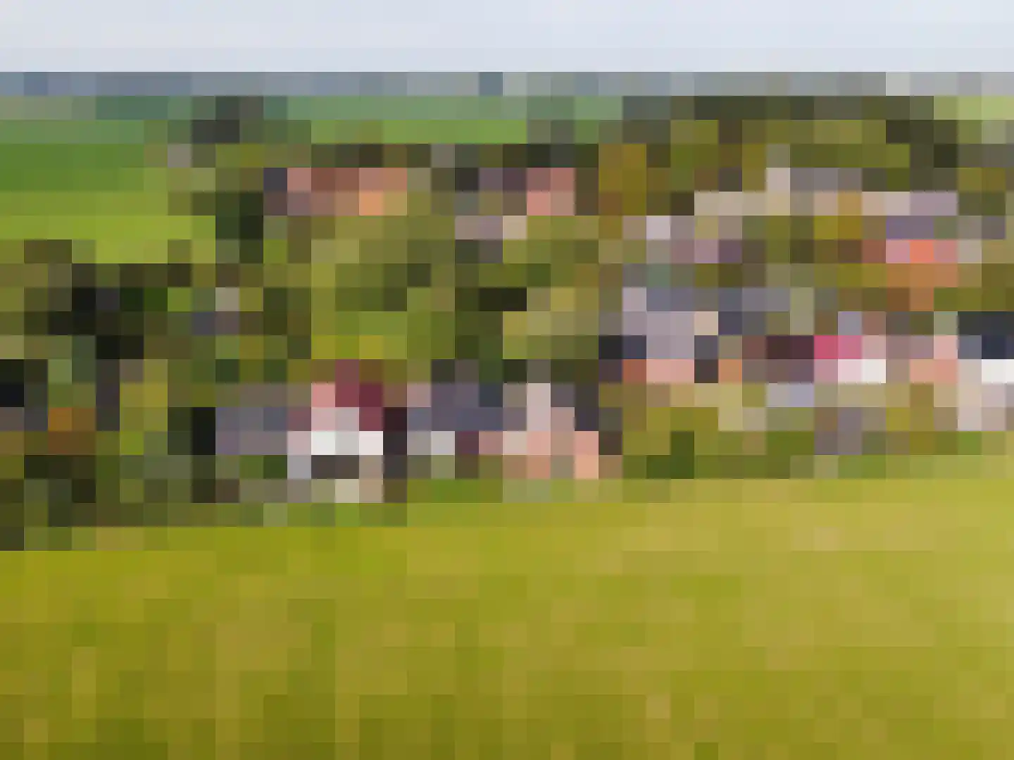 Dijksweg 5 Houwerzijl thumbnail 50