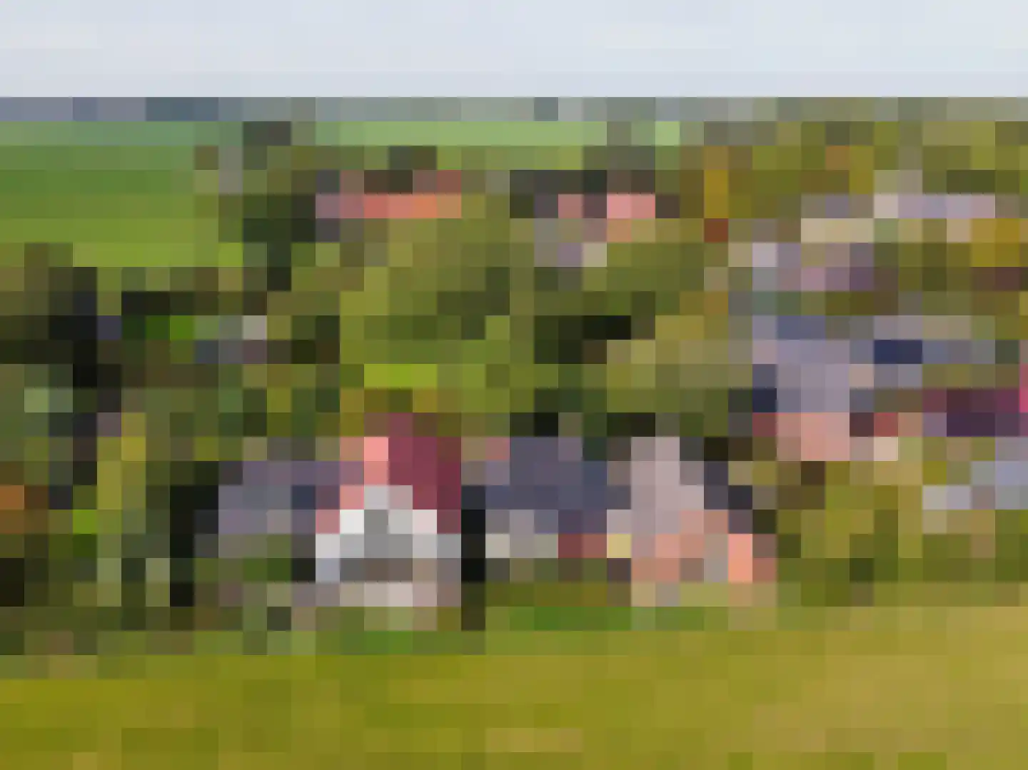 Dijksweg 5 Houwerzijl thumbnail 51