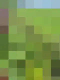 Dijksweg 5 Houwerzijl thumbnail 51