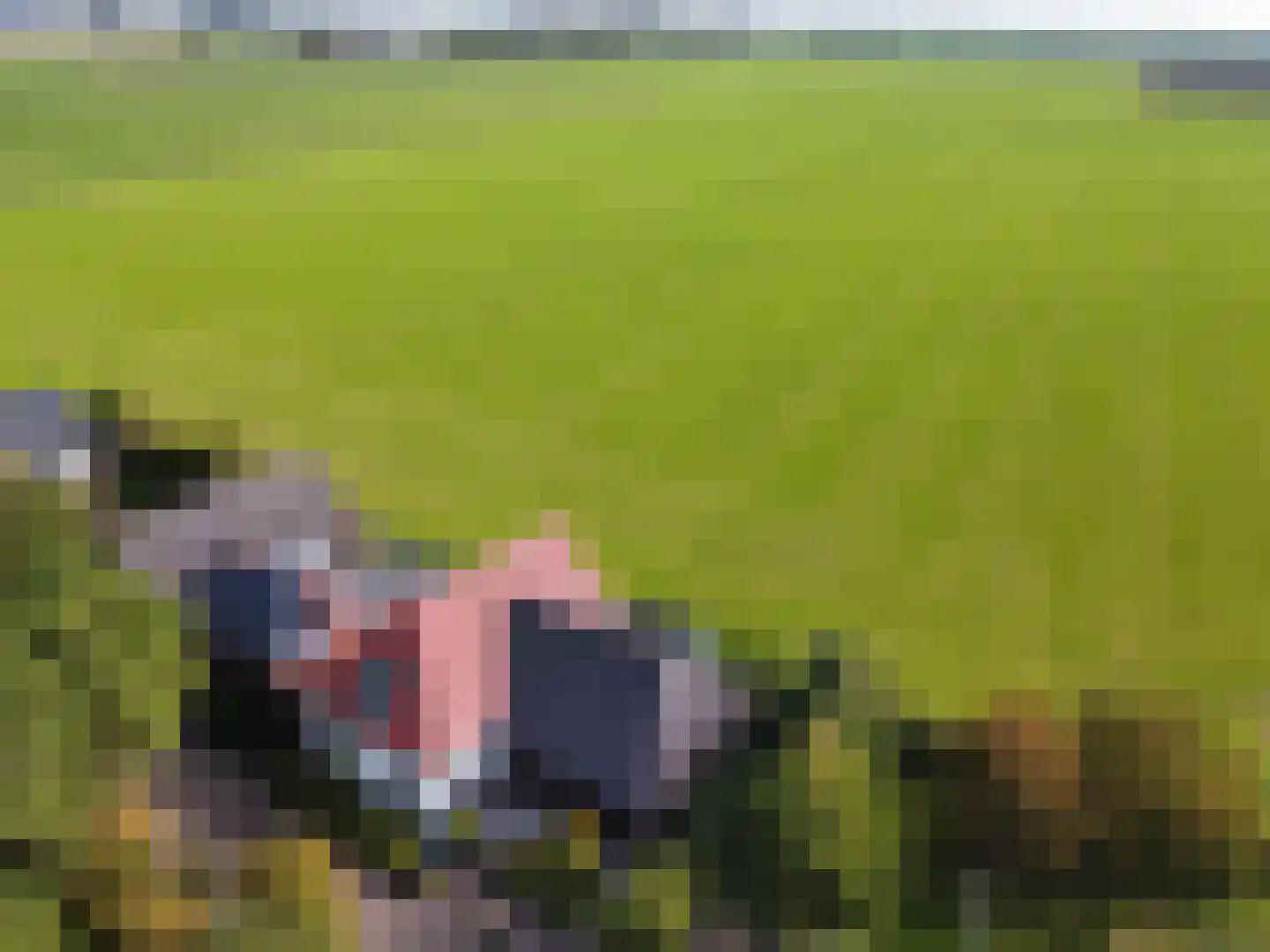 Dijksweg 5 Houwerzijl thumbnail 52