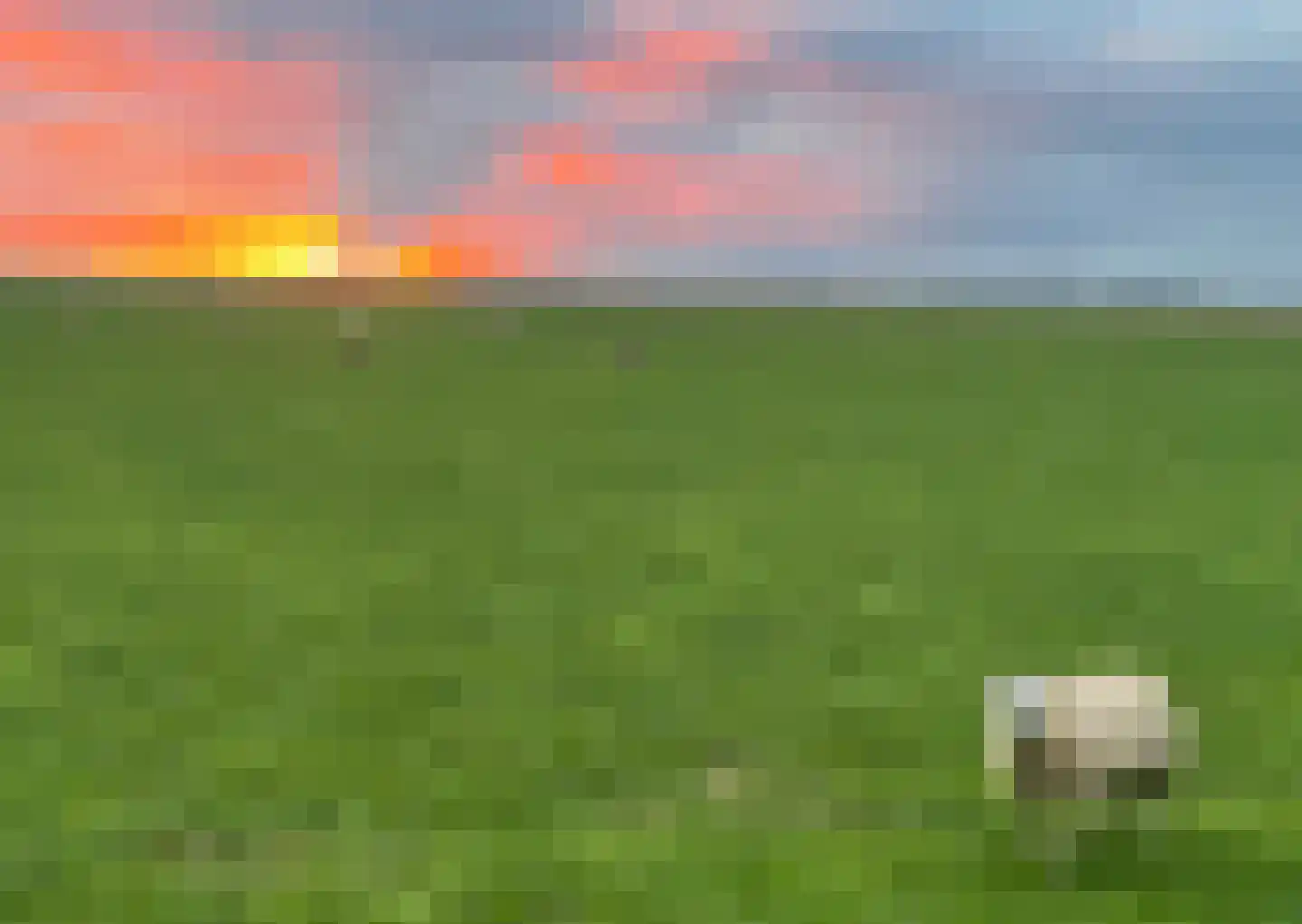 Dijksweg 5 Houwerzijl thumbnail 61