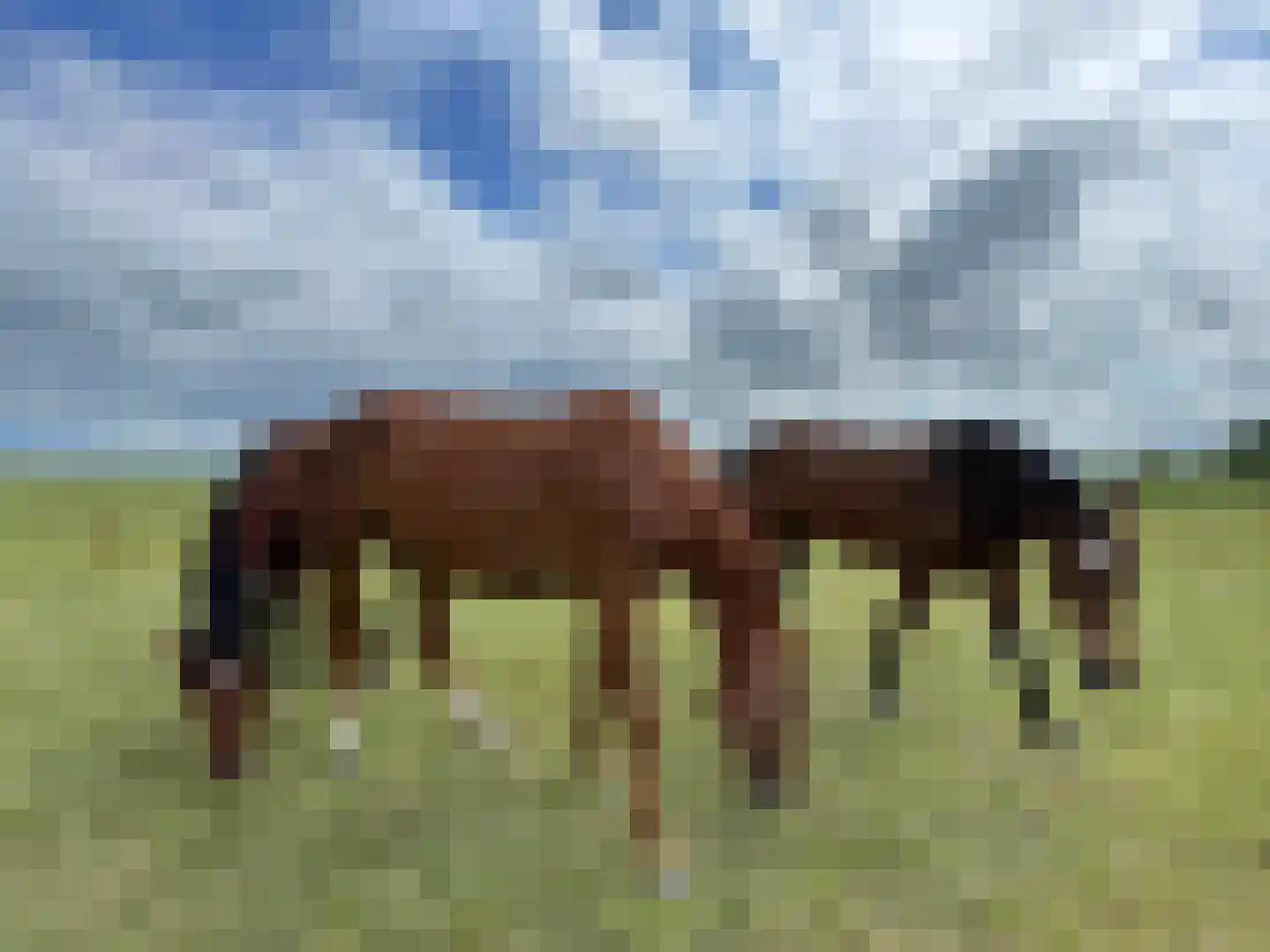 Dijksweg 5 Houwerzijl thumbnail 62