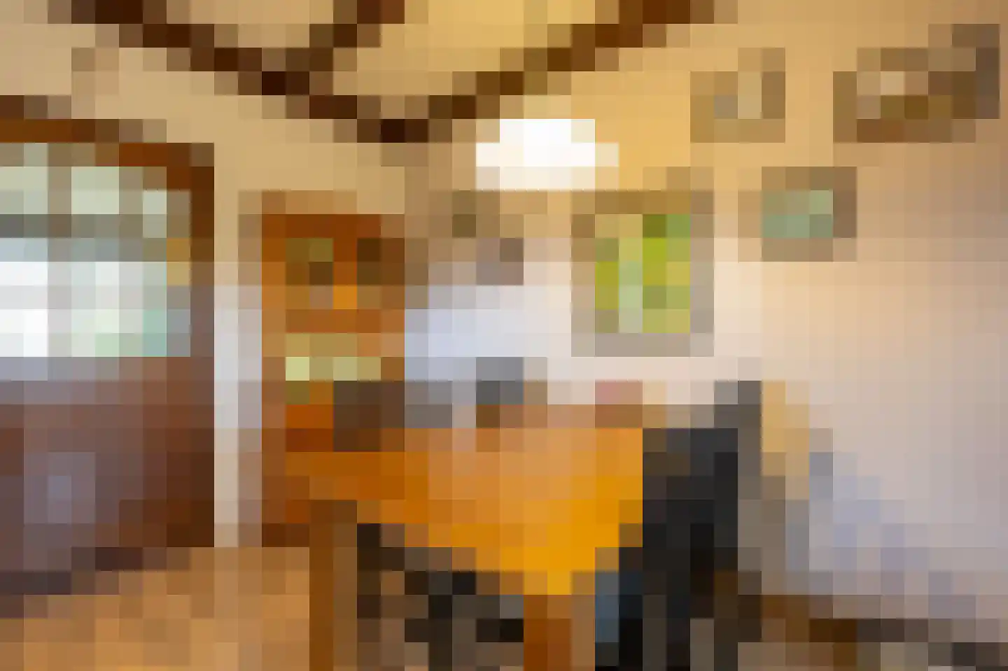 Dijkveld 29 Vinkeveen thumbnail 11