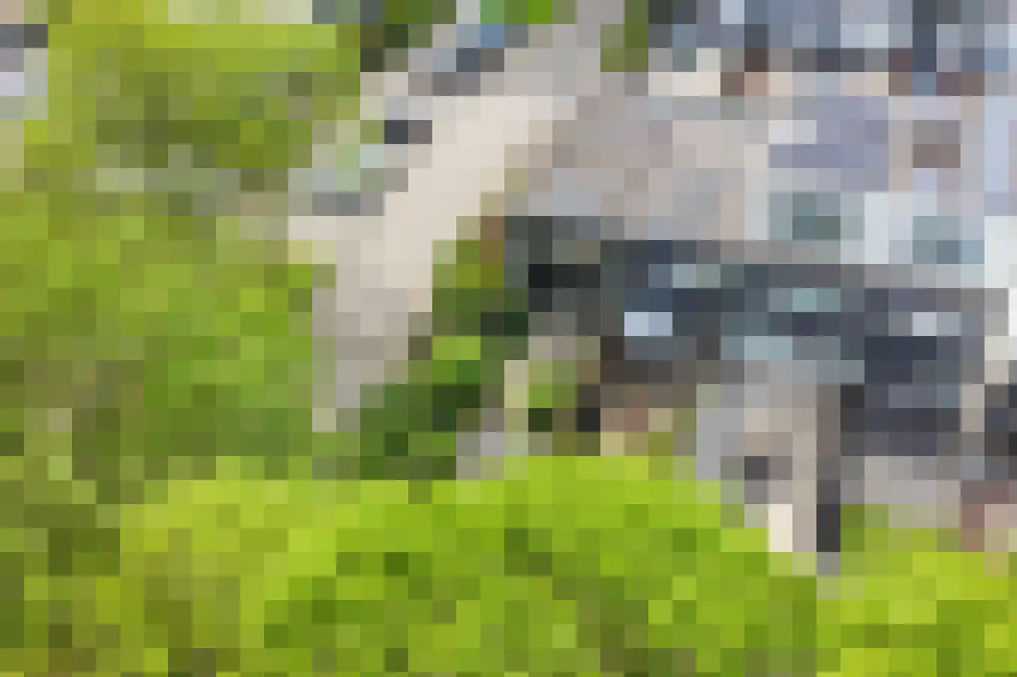 Dijkveld 29 Vinkeveen thumbnail 20