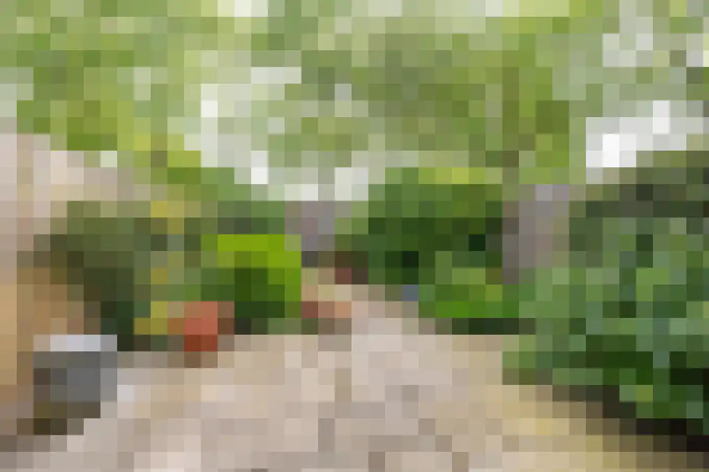 Dijkveld 29 Vinkeveen thumbnail 6