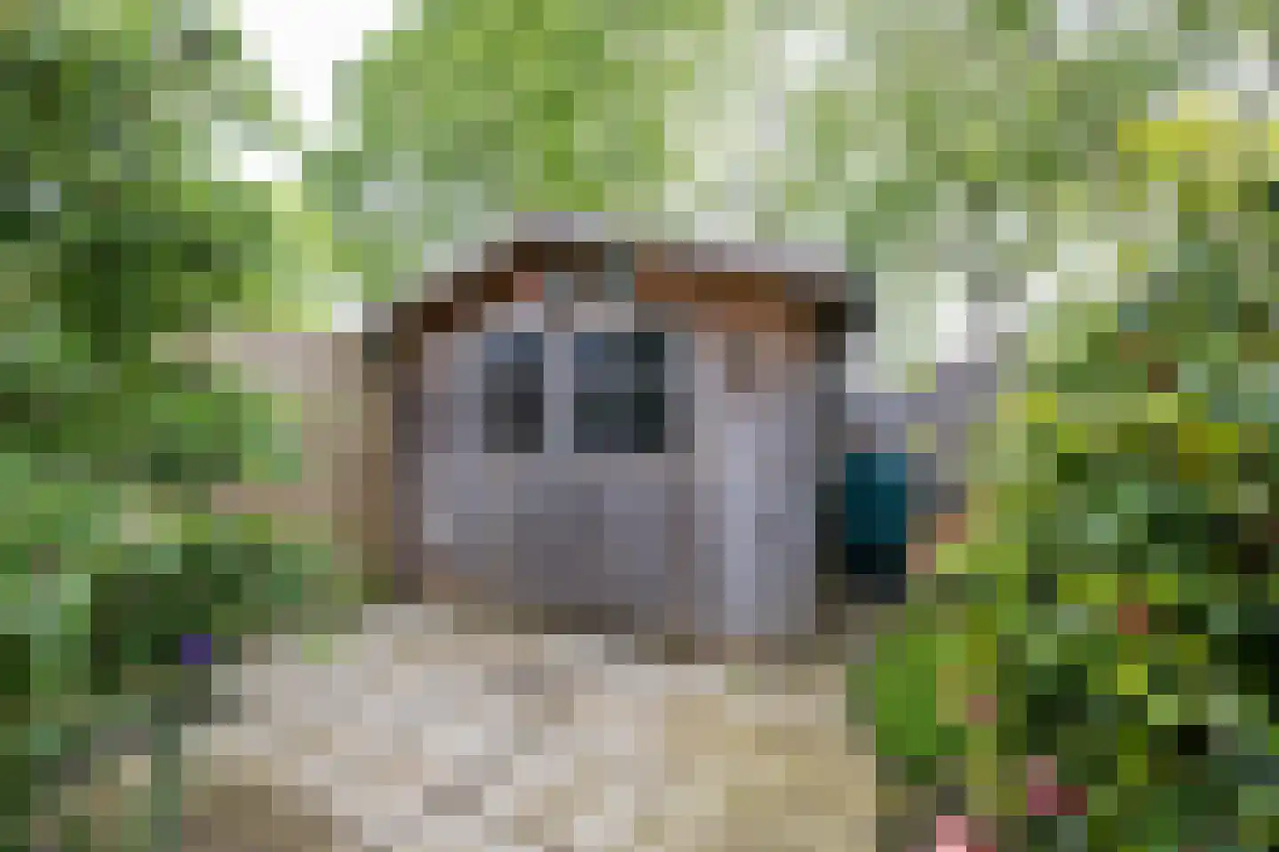 Dijkveld 29 Vinkeveen thumbnail 7