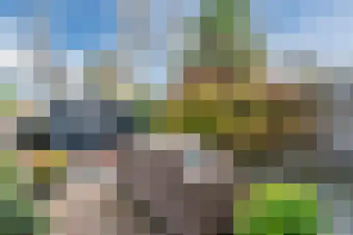 Dijkveld 3 Vinkeveen thumbnail 31
