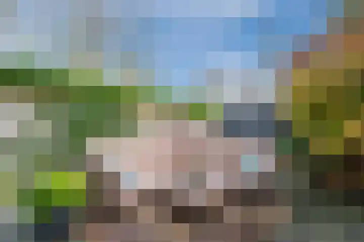 Dijkveld 3 Vinkeveen thumbnail 32