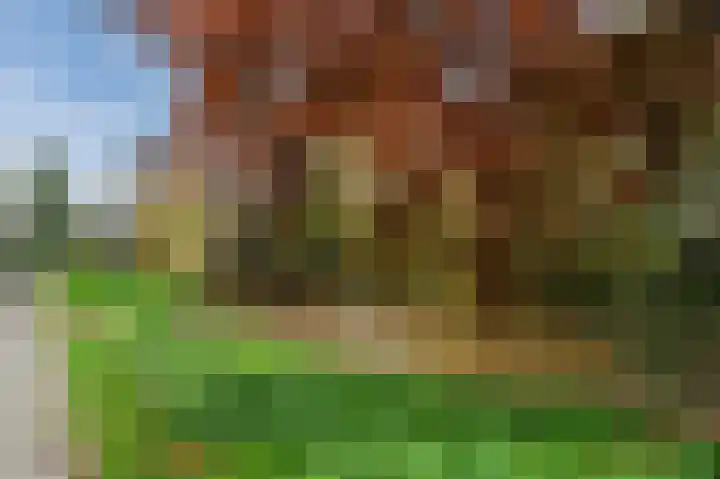 Dijkveld 3 Vinkeveen thumbnail 38