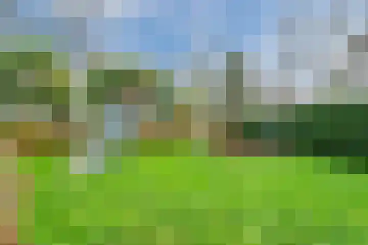 Dijkveld 3 Vinkeveen thumbnail 39