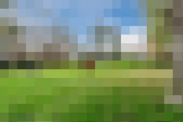 Dijkveld 3 Vinkeveen thumbnail 40