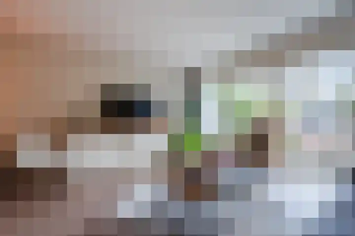 Dijkveld 3 Vinkeveen thumbnail 6