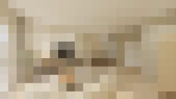 Dijkveldstraat 36 Echt thumbnail 11