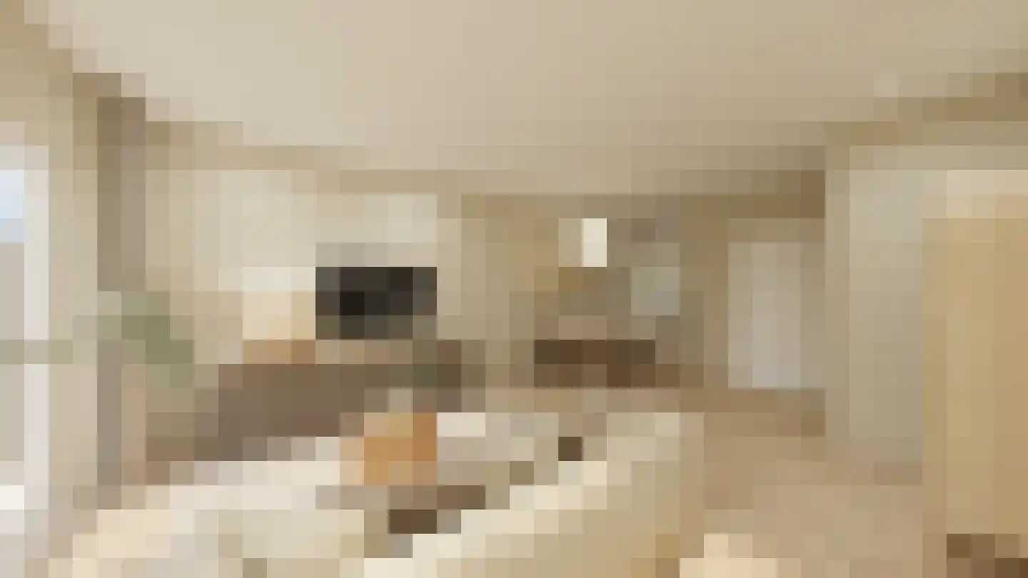 Dijkveldstraat 36 Echt thumbnail 11