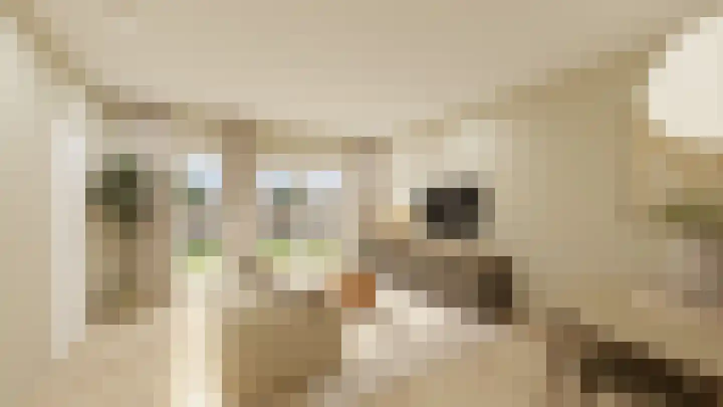 Dijkveldstraat 36 Echt thumbnail 9