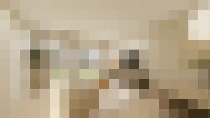 Dijkveldstraat 36 Echt thumbnail 9