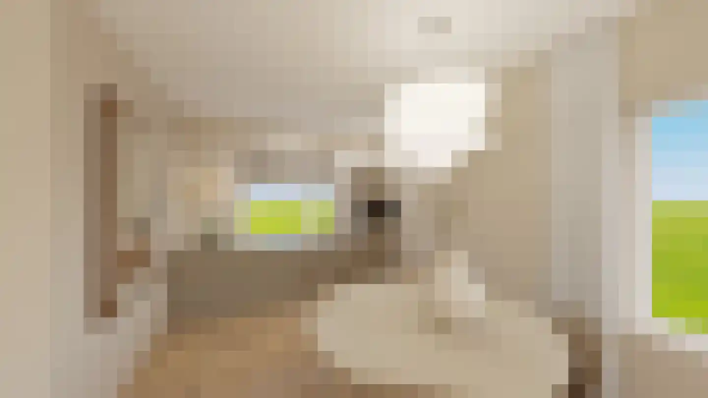 Dijkveldstraat 38 Echt thumbnail 11