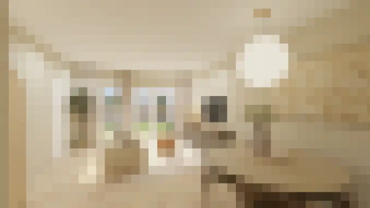 Dijkveldstraat 38 Echt thumbnail 11