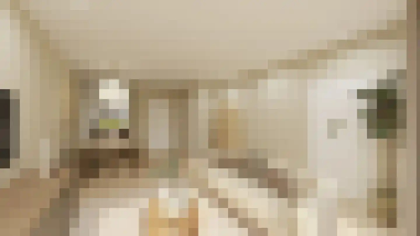 Dijkveldstraat 38 Echt thumbnail 12