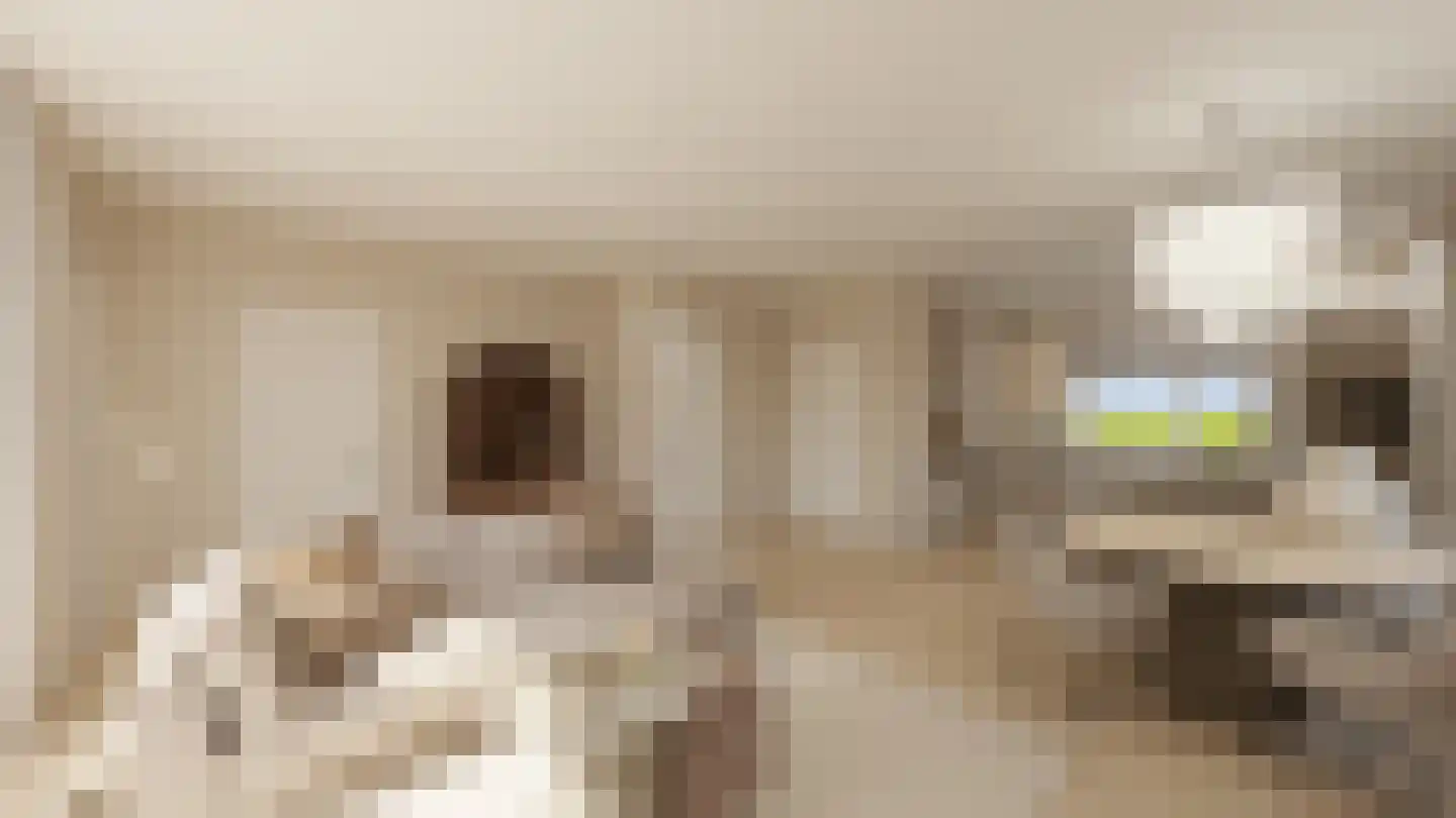 Dijkveldstraat 38 Echt thumbnail 16