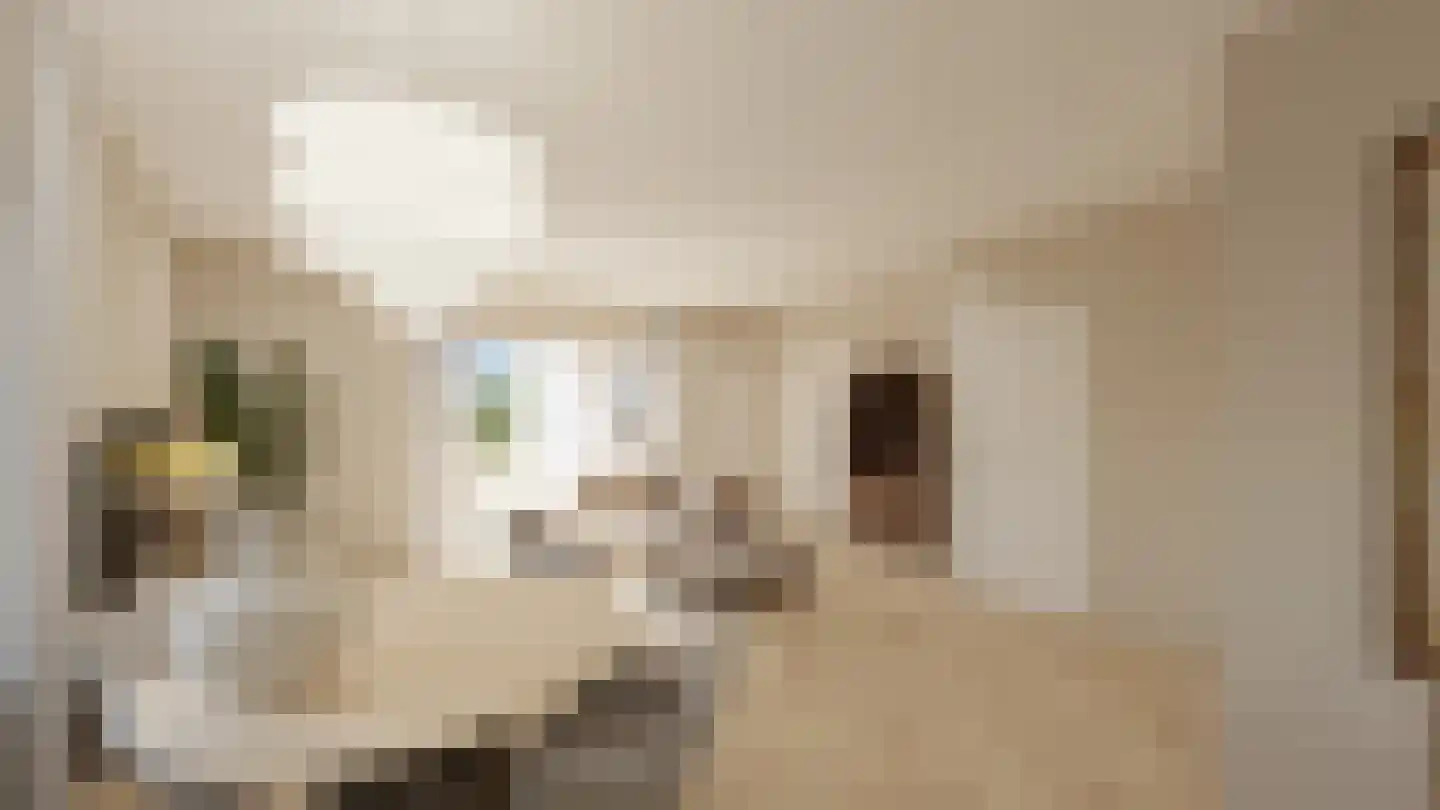 Dijkveldstraat 38 Echt thumbnail 17