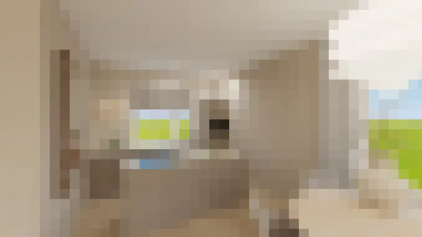 Dijkveldstraat 38 Echt thumbnail 18