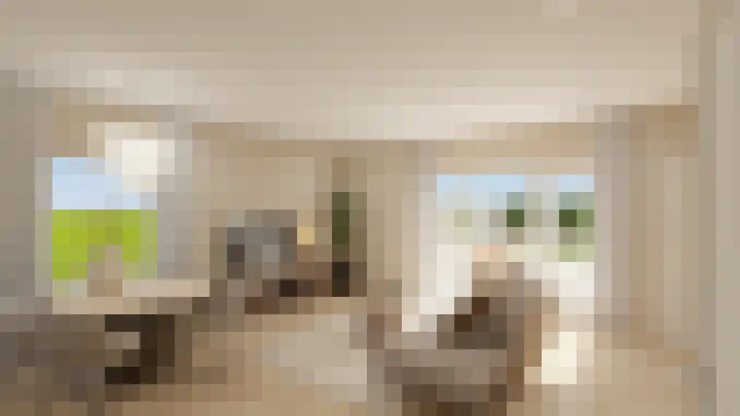 Dijkveldstraat 38 Echt thumbnail 20