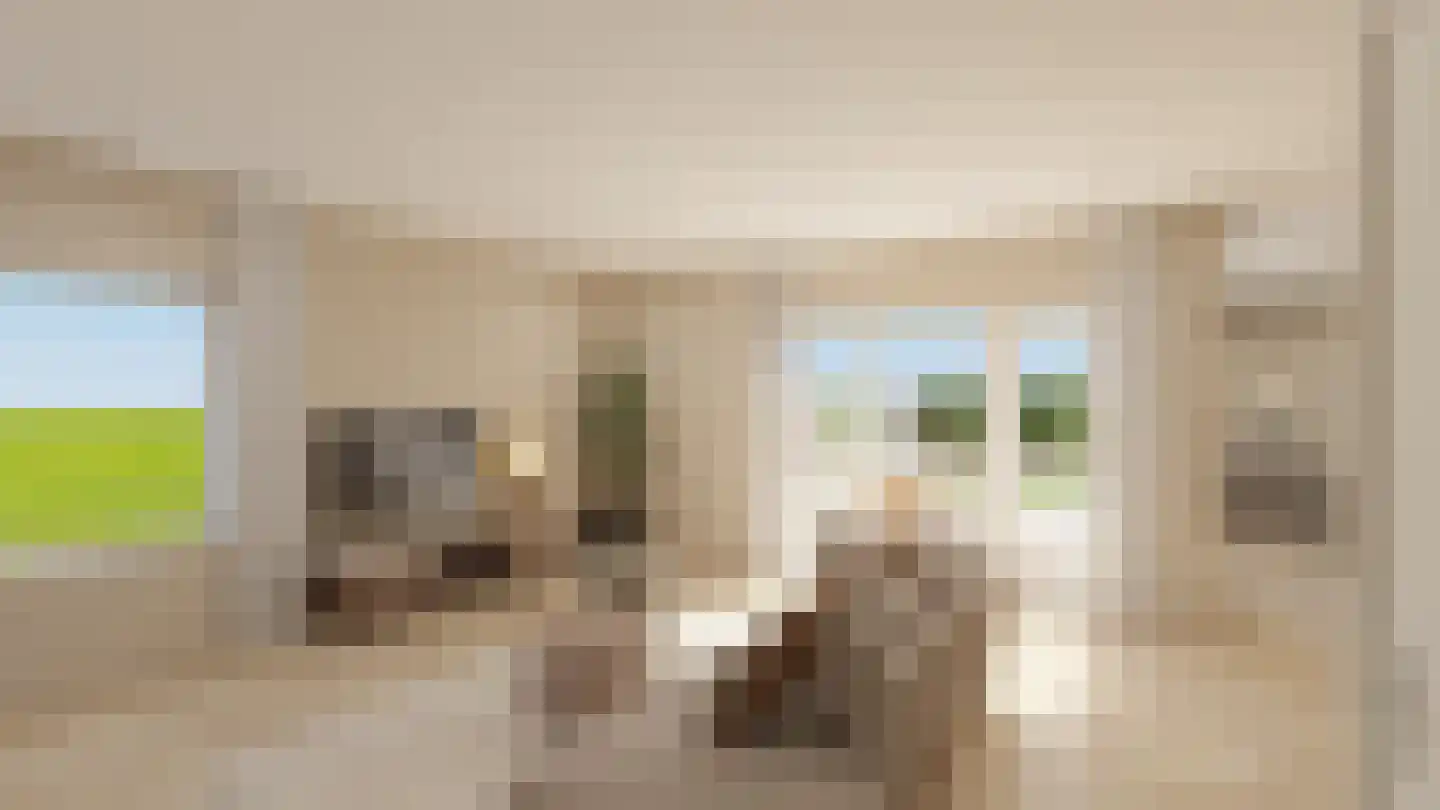 Dijkveldstraat 38 Echt thumbnail 21