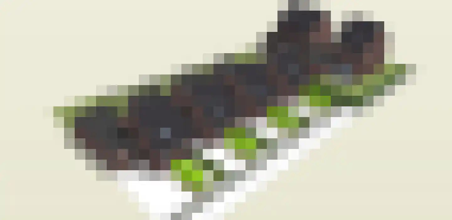 Dijkveldstraat 38 Echt thumbnail 8