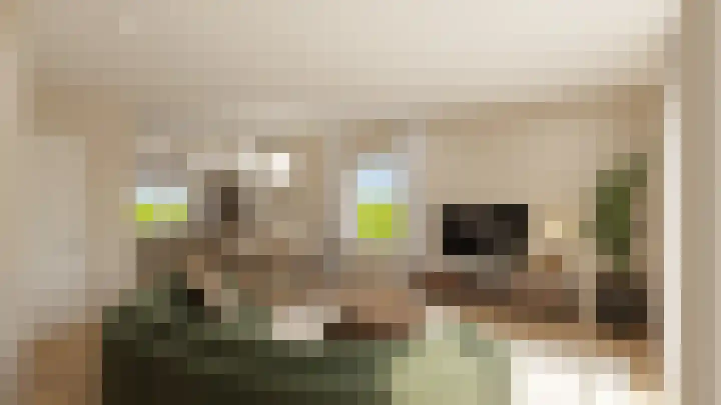 Dijkveldstraat 38 Echt thumbnail 8