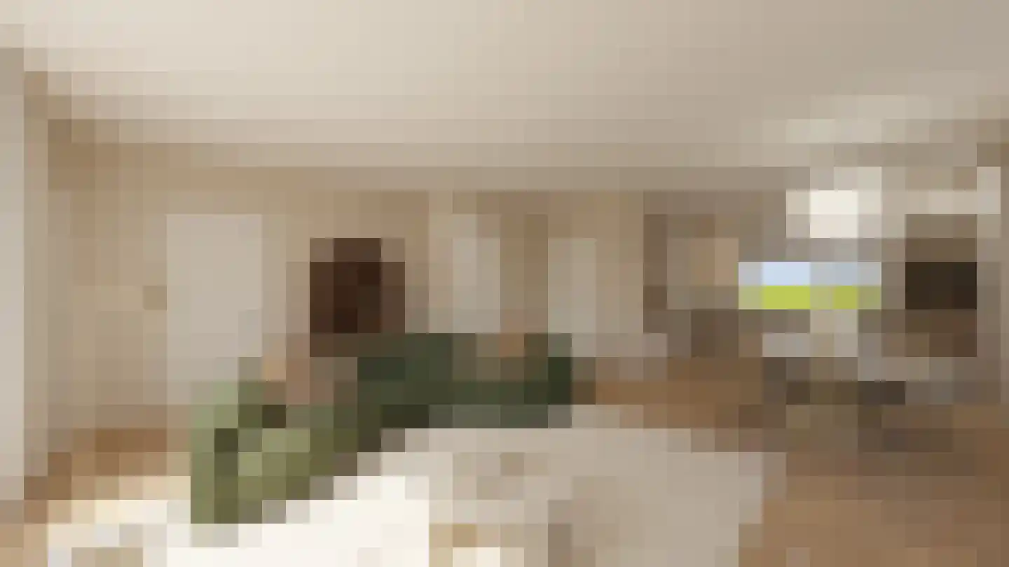 Dijkveldstraat 38 Echt thumbnail 9