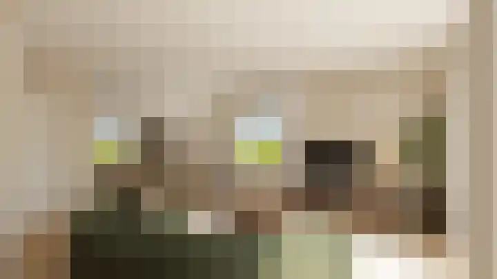 Dijkveldstraat 40 Echt thumbnail 8
