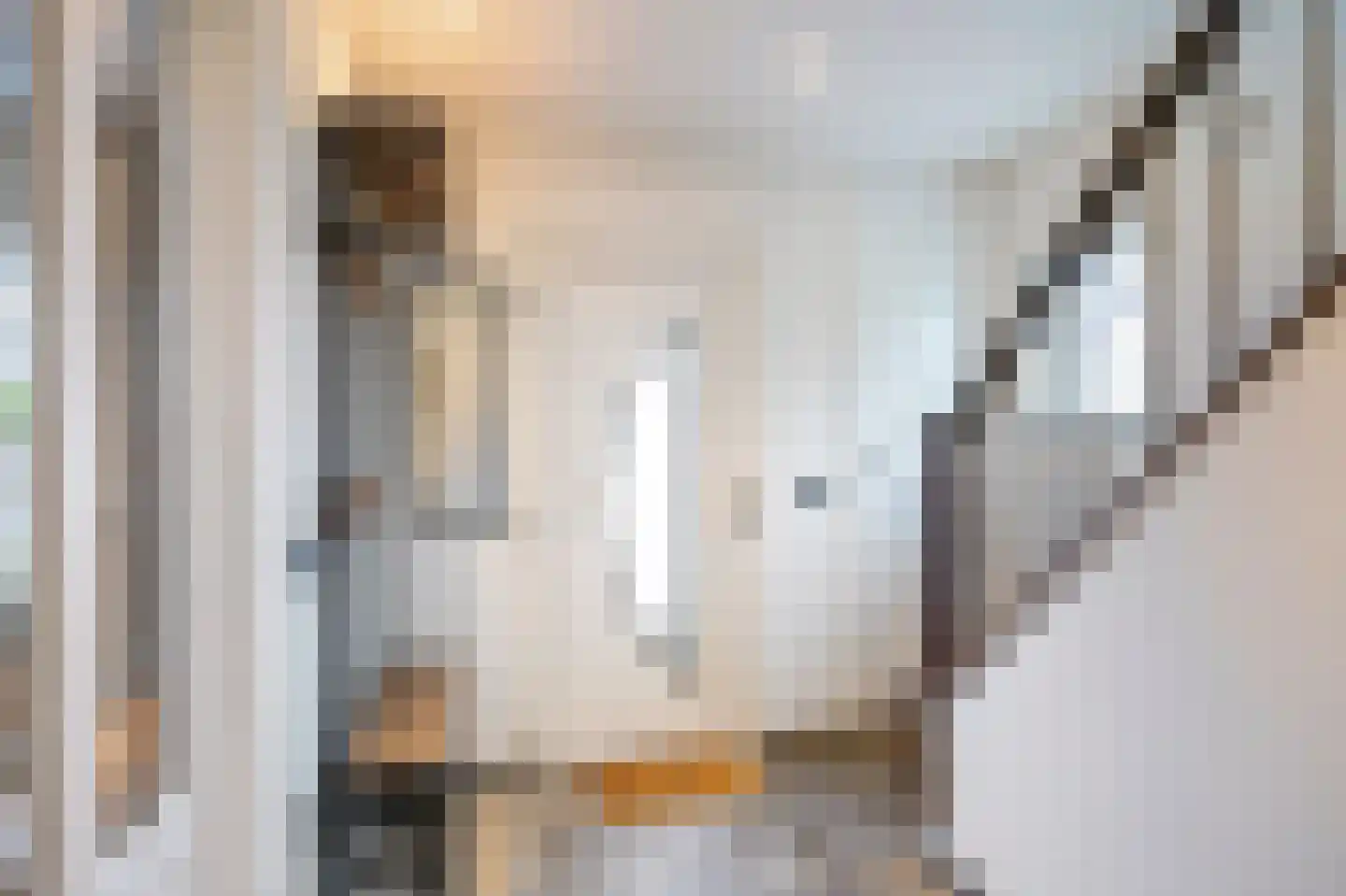 Dijkveldstraat 47 Echt thumbnail 11