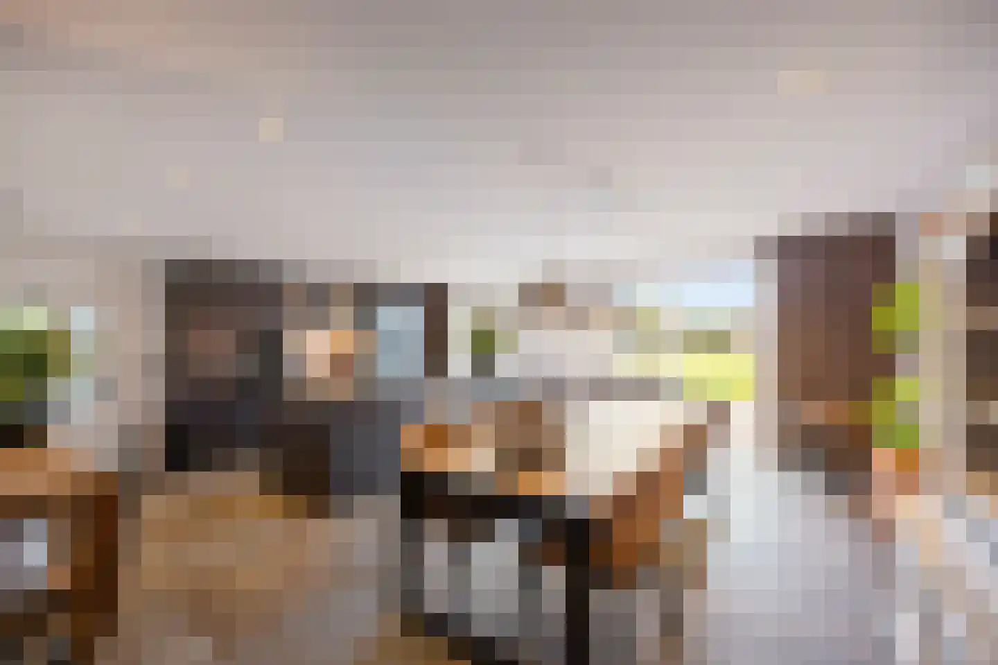 Dijkveldstraat 47 Echt thumbnail 18